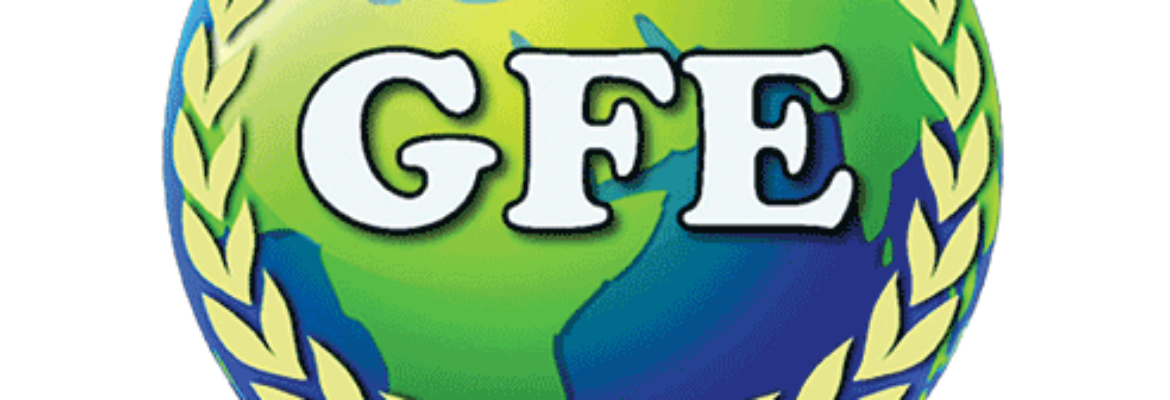 GFE Business Services Pvt. Ltd.