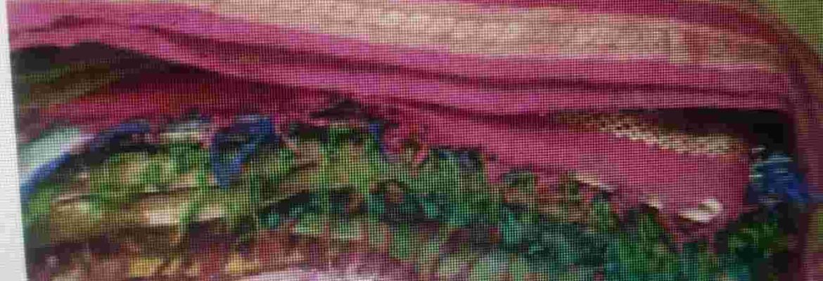 Sri Kanchi-Old Kanchi Pattu Saree Buyers