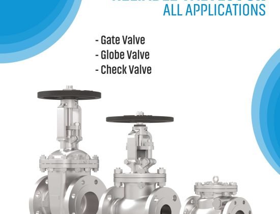Lubi Valves