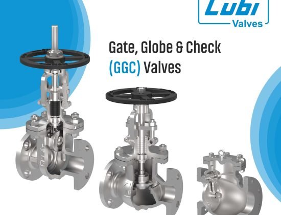 Lubi Valves