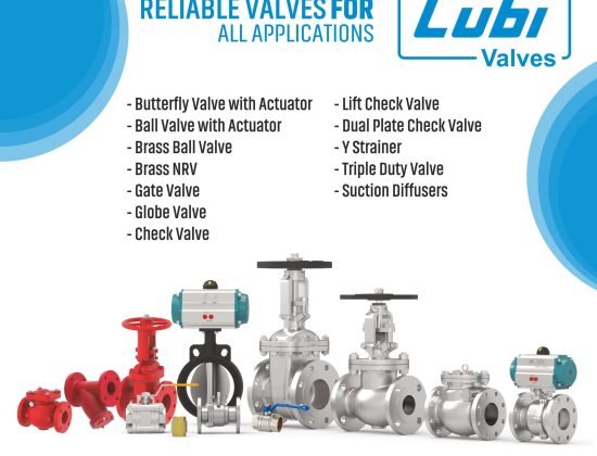 Lubi Valves